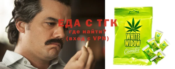 гидра Верхний Тагил