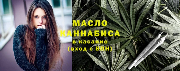 mdpv Бородино