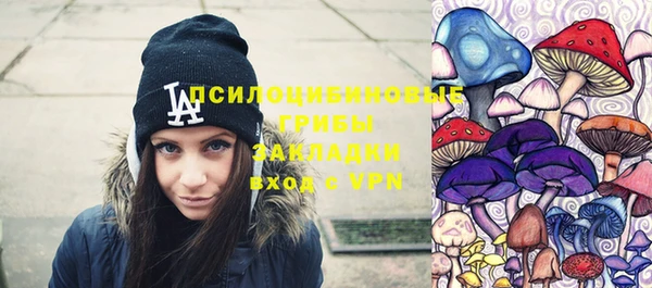mdpv Бородино