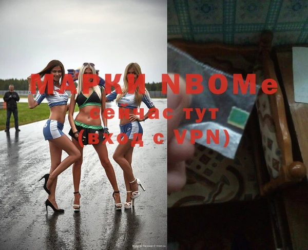 mdpv Бородино
