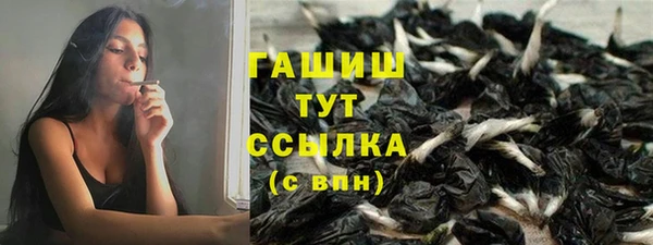 гидра Верхний Тагил