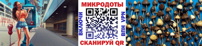 наркотики  ОМГ ОМГ ССЫЛКА  Галлюциногенные грибы Psilocybe  Горняк 